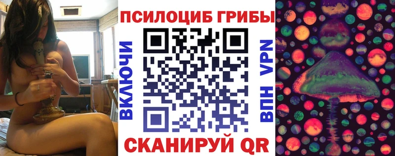 Галлюциногенные грибы Psilocybine cubensis  Медынь 