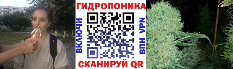 где можно купить   Медынь  Конопля семена 